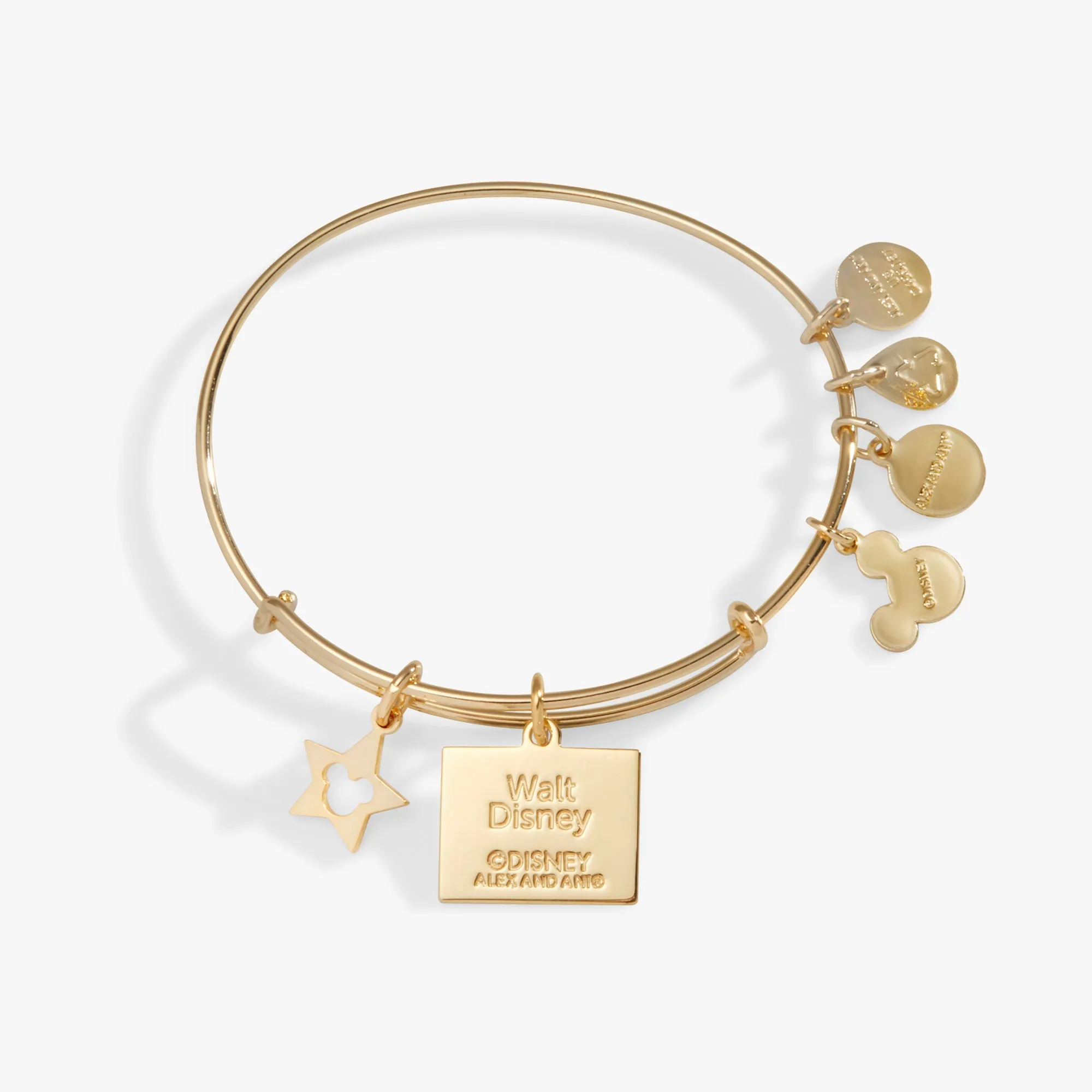 Disney® Impossible Charm Bangle