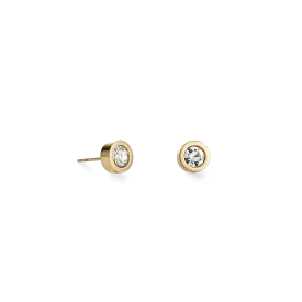 Earrings Crystal & stainless steel gold crystal