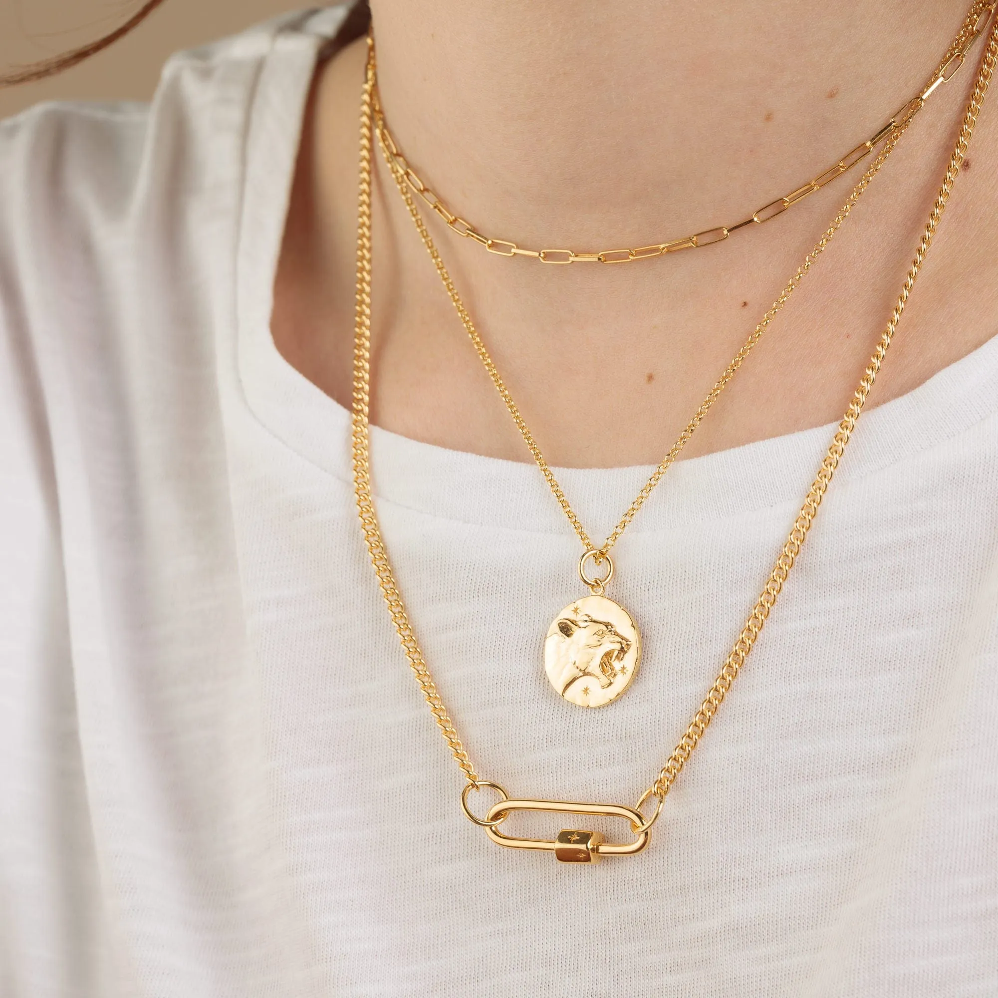 Gold Plated Long Link Carabiner Charm Lock