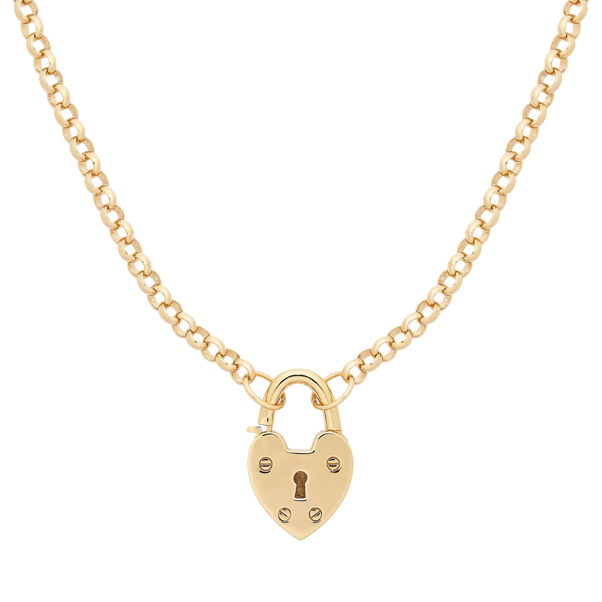 Heart Museum Lock Necklace